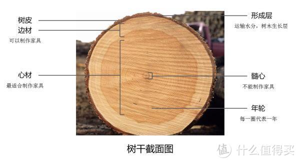 购买实木家具前你需要知道的——关于木头的特征